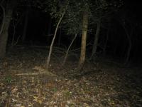 Chicago Ghost Hunters Group investigates Robinson Woods (107).JPG